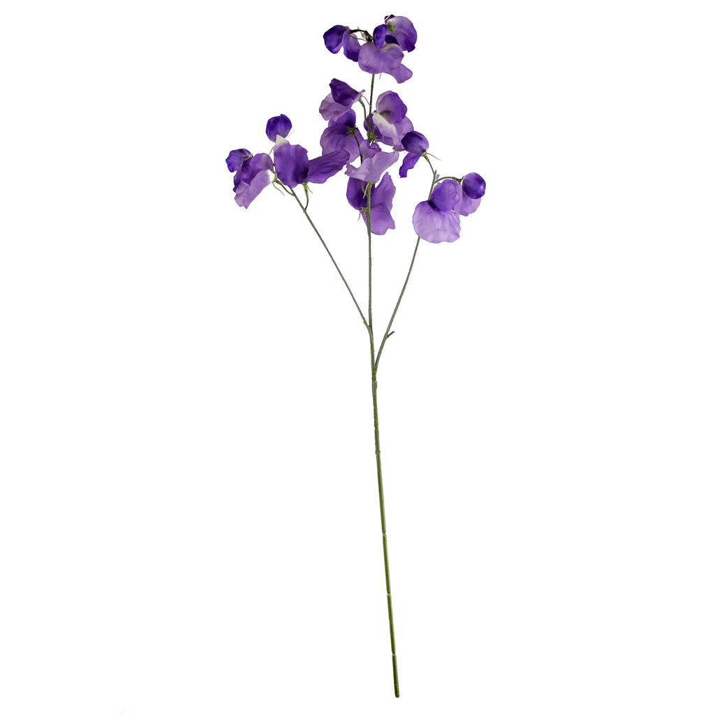 Flower pea blossom purple 74cm