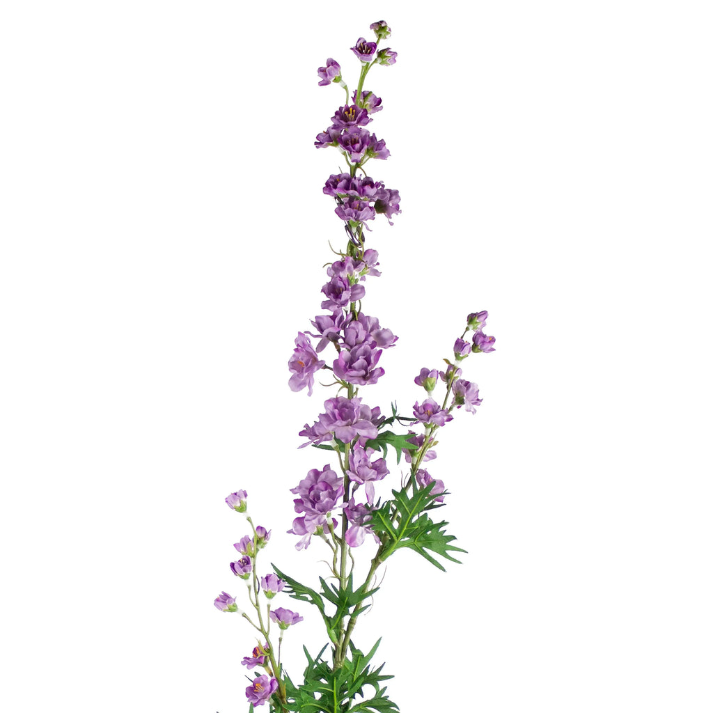 Flower mini delphinium light purple 85cm