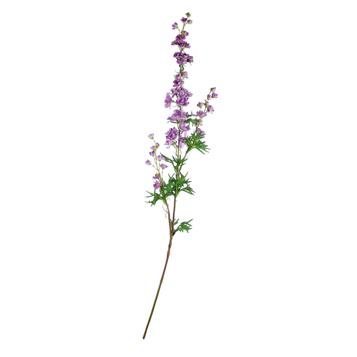 Flower mini delphinium light purple 85cm