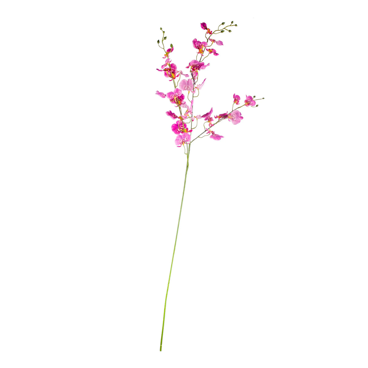 Flower oncidium pink 95cm