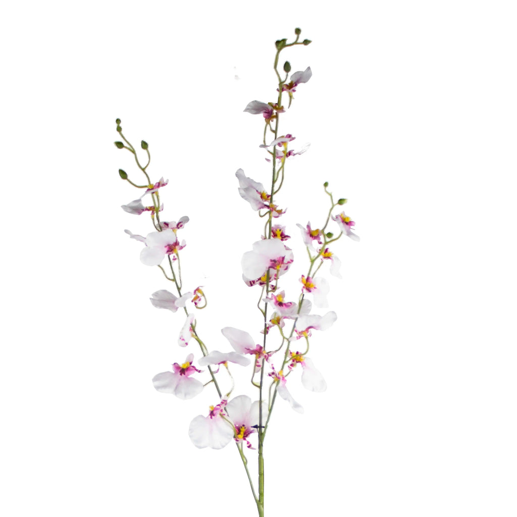Flower oncidium white 95cm