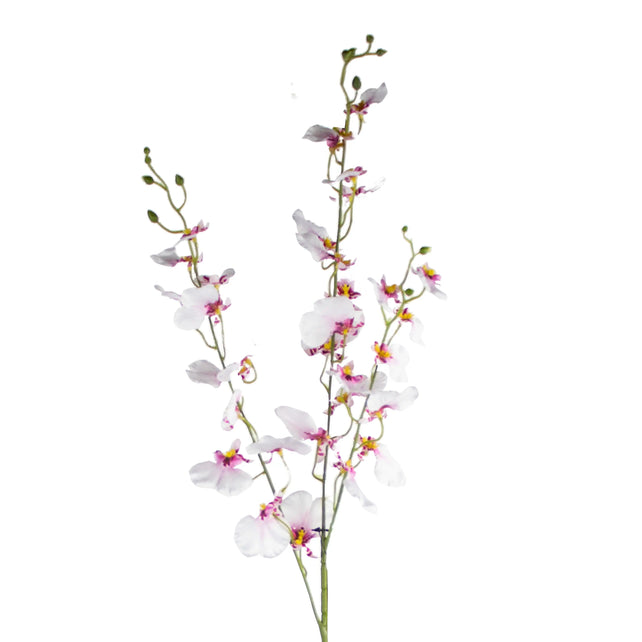Flower oncidium white 95cm