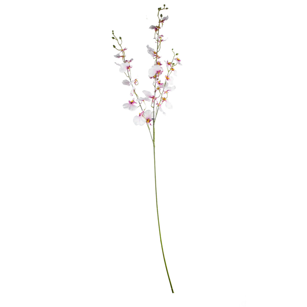 Flower oncidium white 95cm