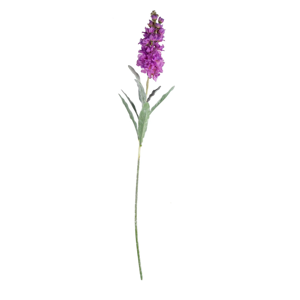 Flower cansolida purple 80cm