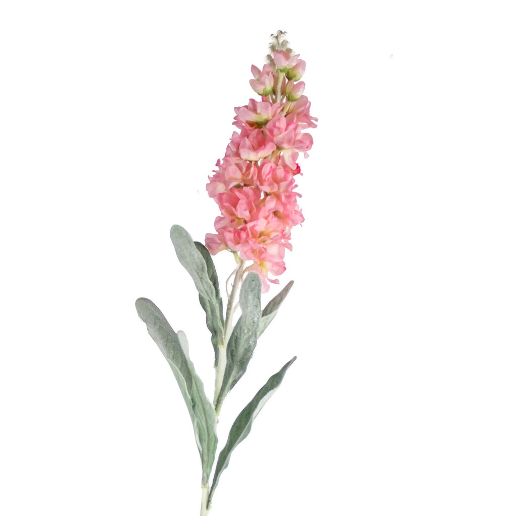 Flower cansolida light pink 80cm