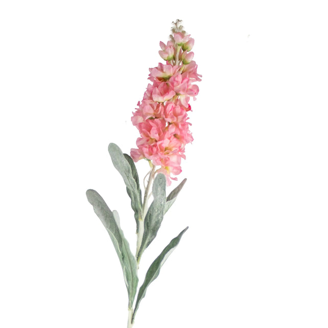 Flower cansolida light pink 80cm