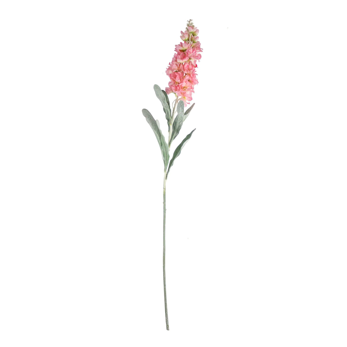 Flower cansolida light pink 80cm