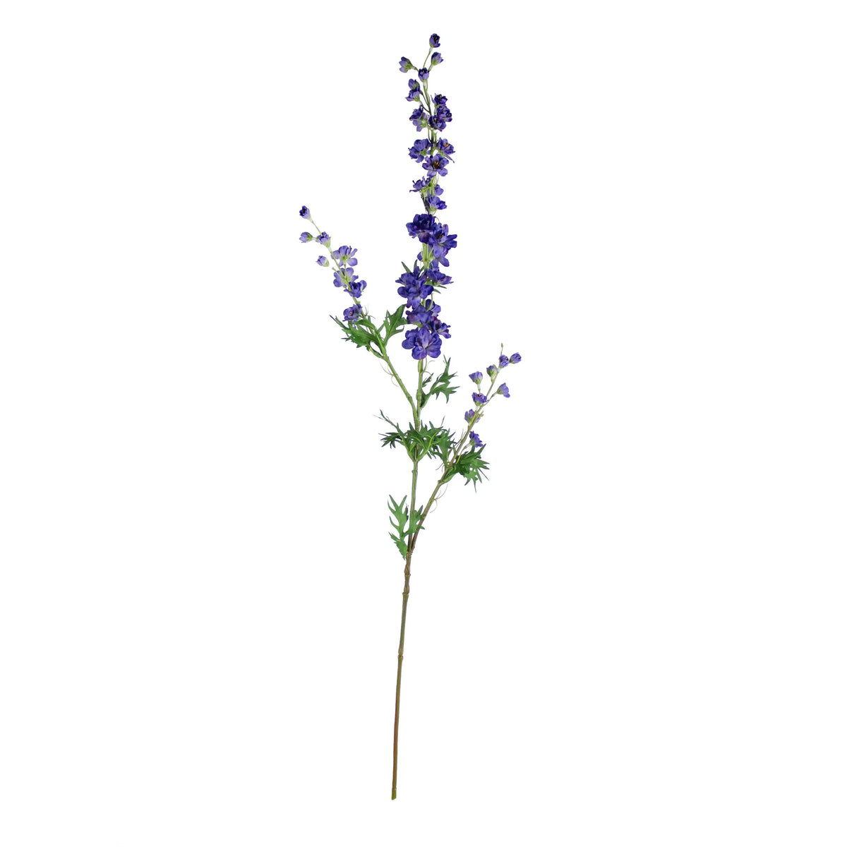 Flower mini delphinium dark blue 85cm