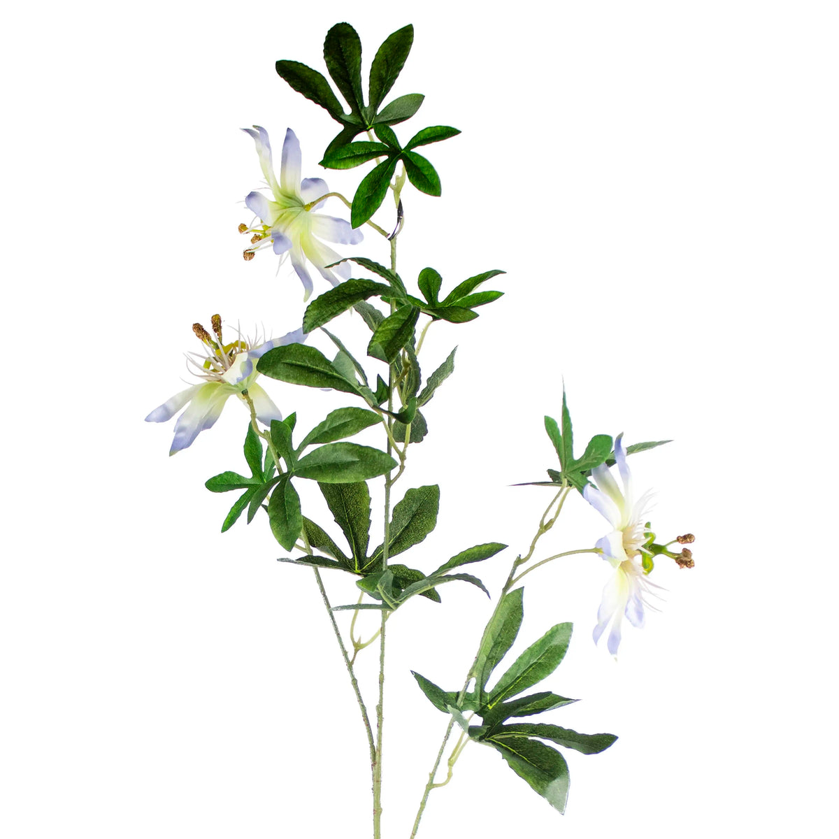 Flower passion flower light blue 89cm