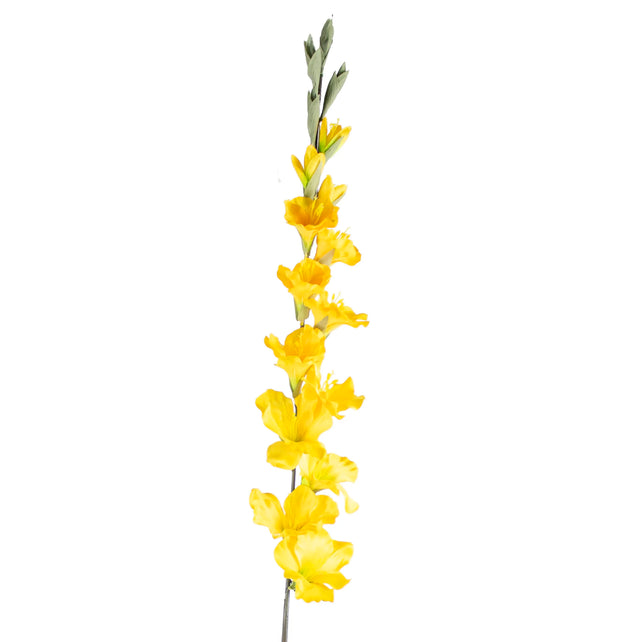 Flower gladiolus yellow 108cm