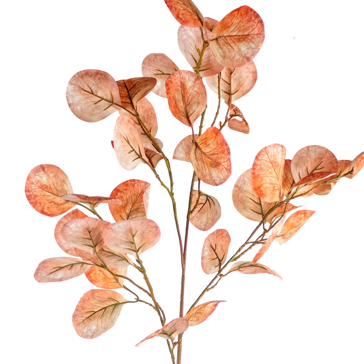 Flower eucalyptus soft orange 90cm