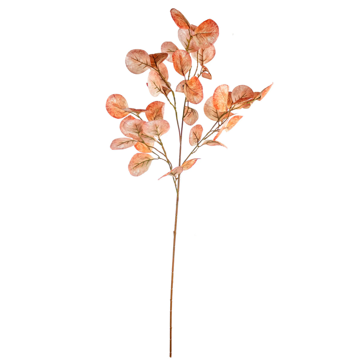Flower eucalyptus soft orange 90cm