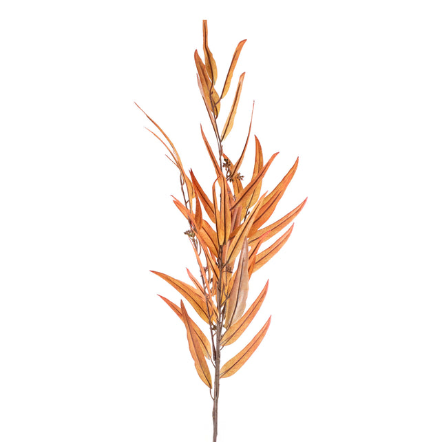 Flower eucalyptus soft orange 120cm