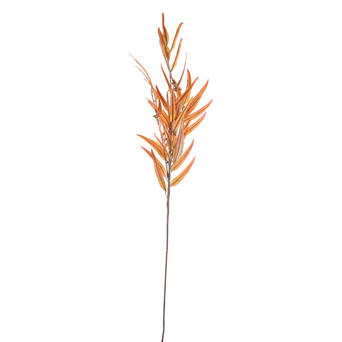 Flower eucalyptus soft orange 120cm