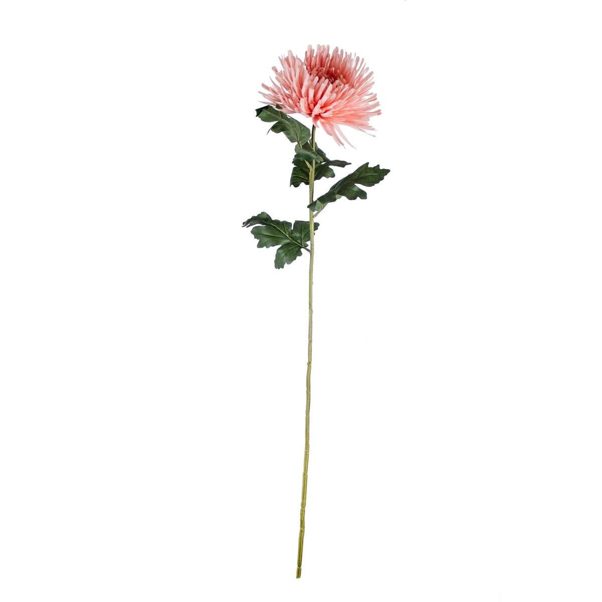 Flower chrysanthemum light pink 91cm