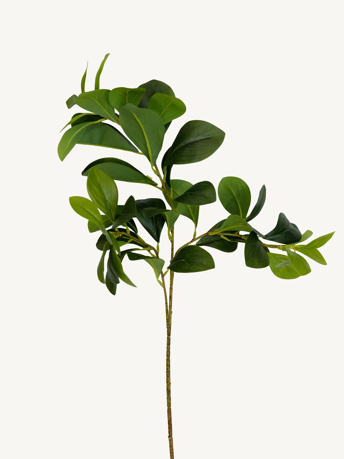 Branch LEAF 70cm green