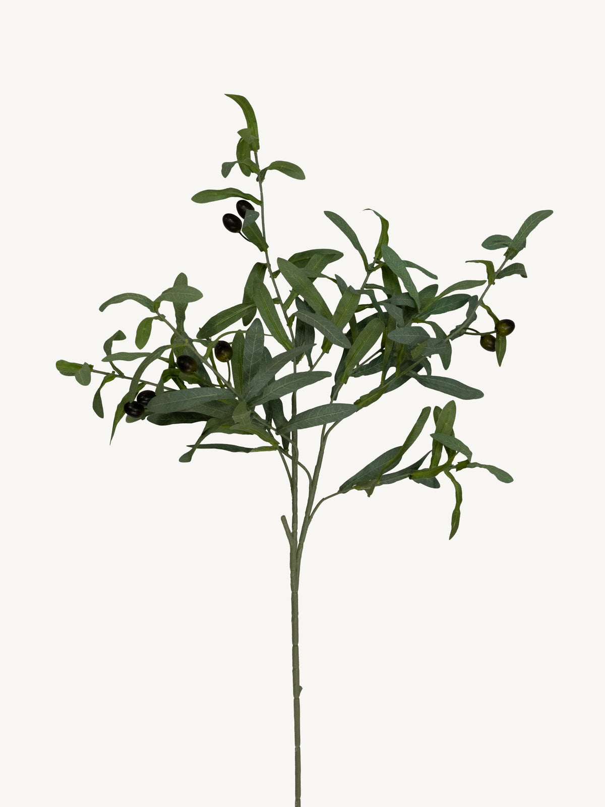 Branch OLIVE 80cm green