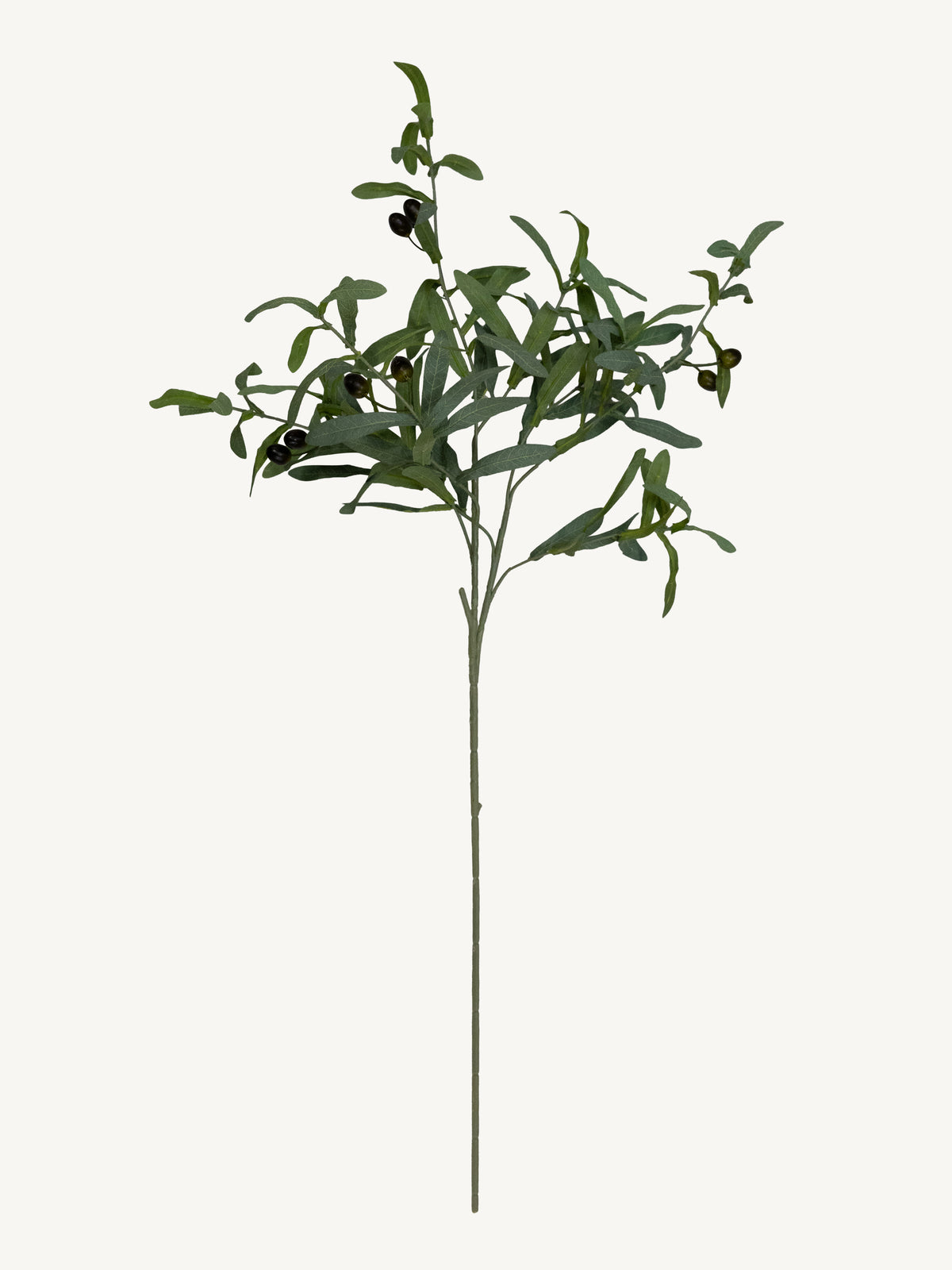 Branch OLIVE 80cm green