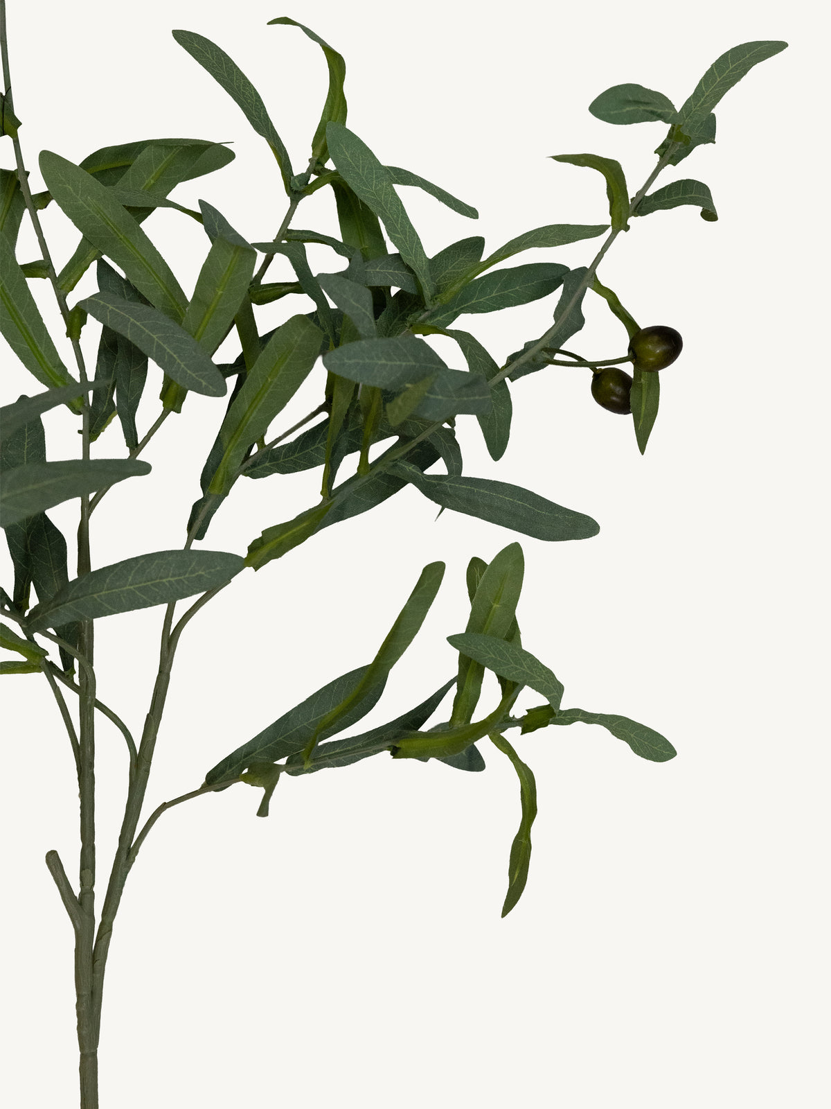 Branch OLIVE 80cm green