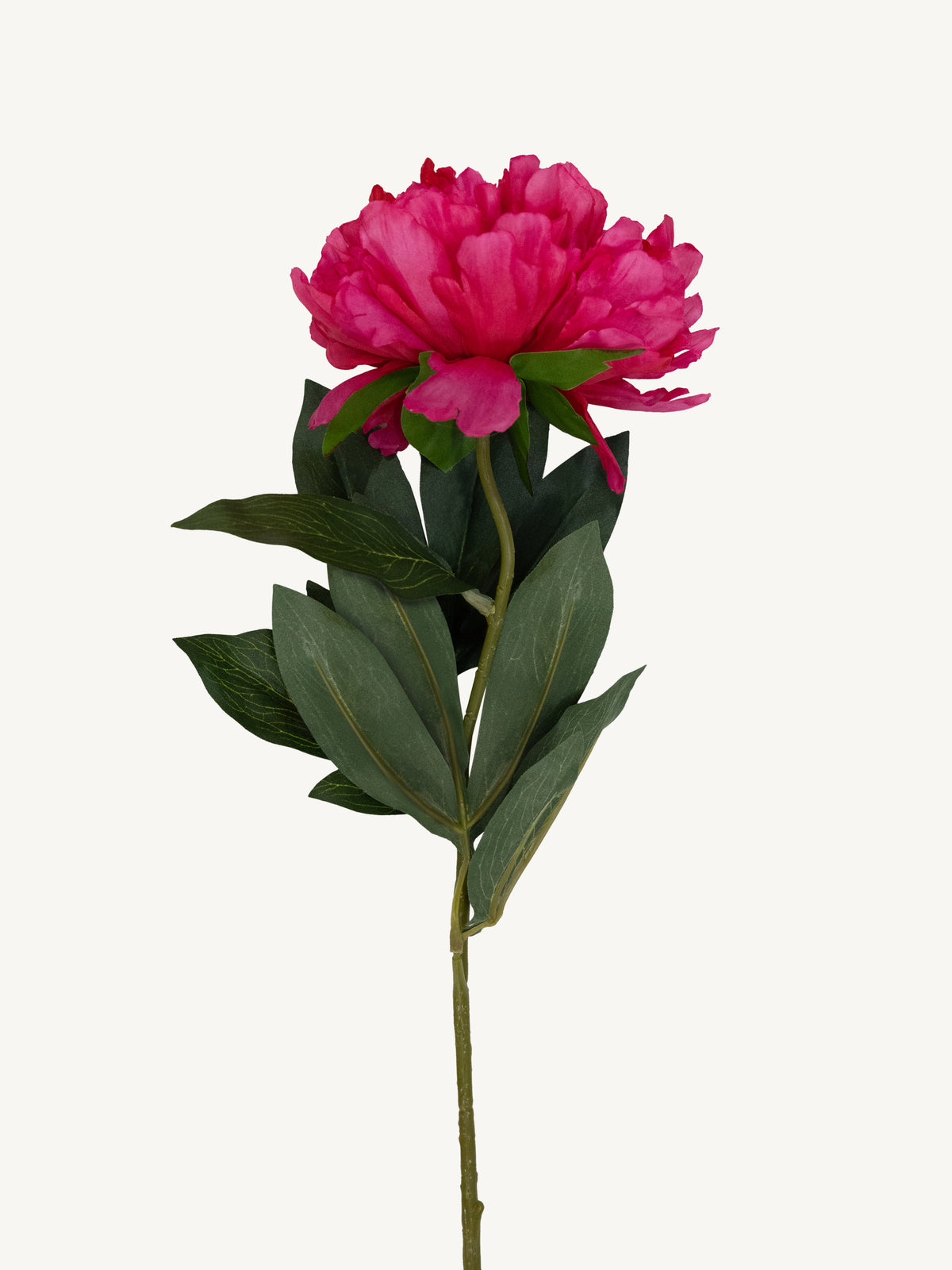 Flower PEONY 80cm fuchsia