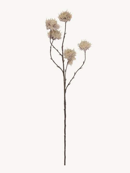 Flower THISTLE 92cm brown