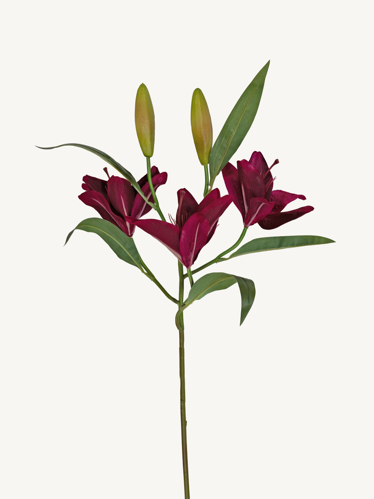 Flower LILY 104cm purple