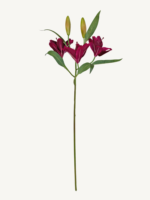 Flower LILY 104cm purple