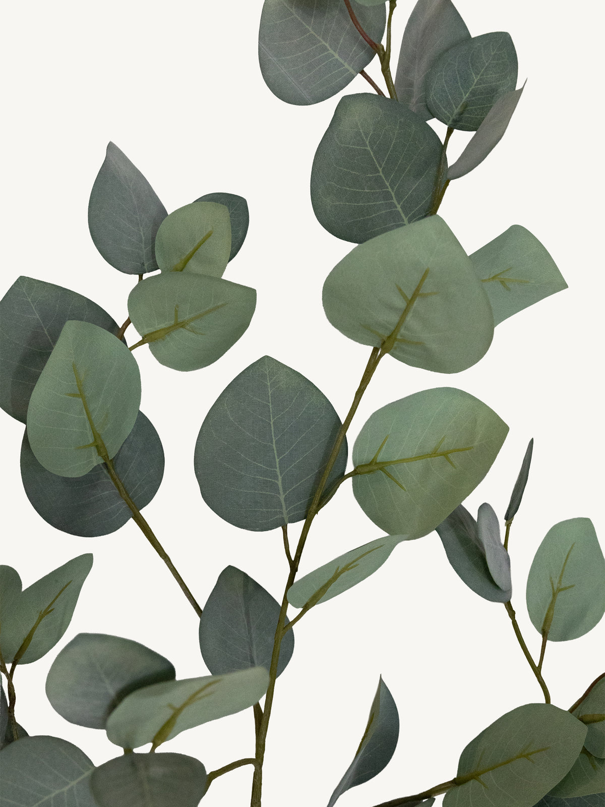 Flower EUCALYPTUS 95cm green