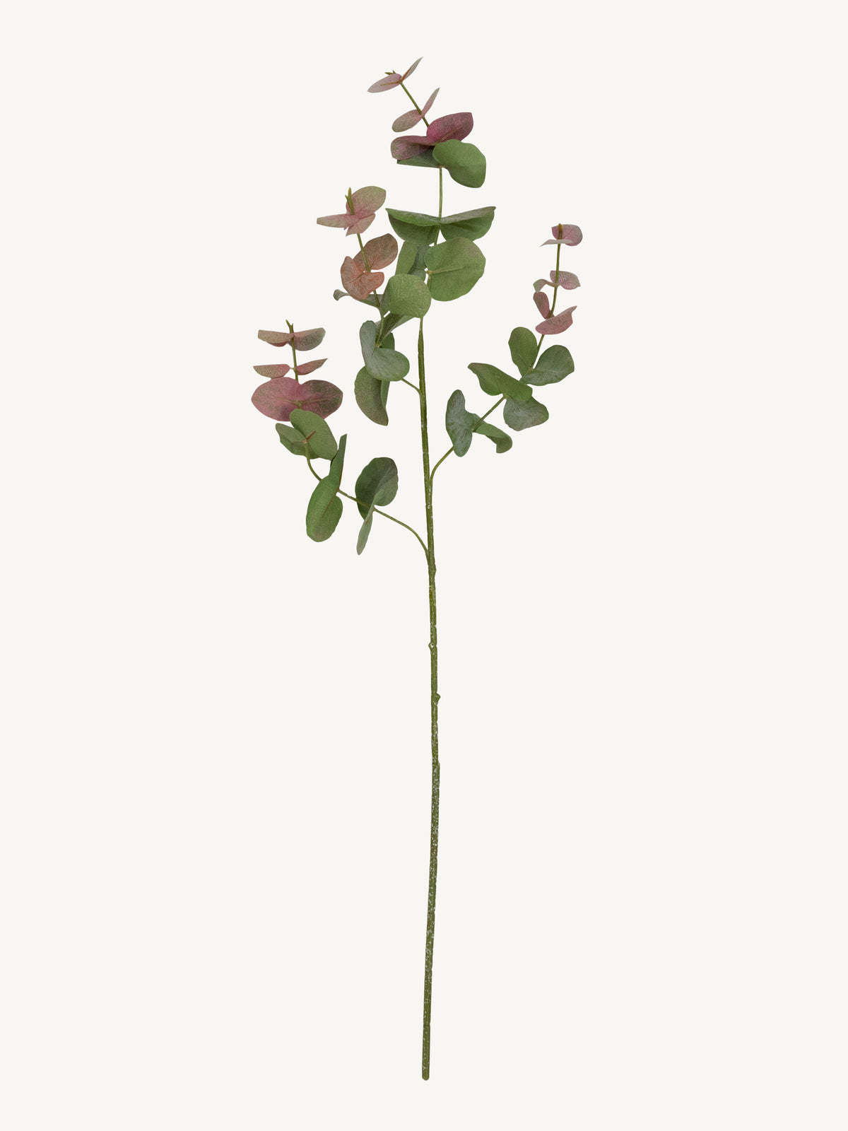 Flower EUCALYPTUS 84cm green