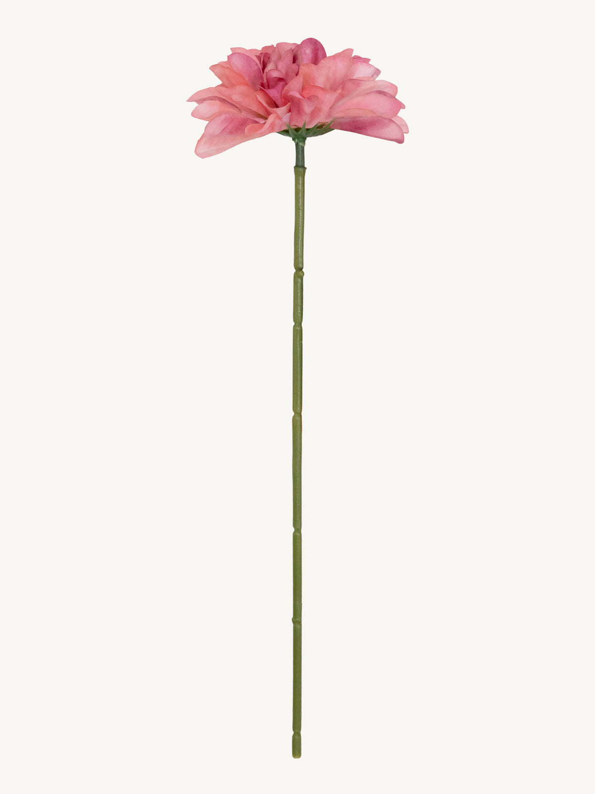 Flower DAHLIA 25cm pink