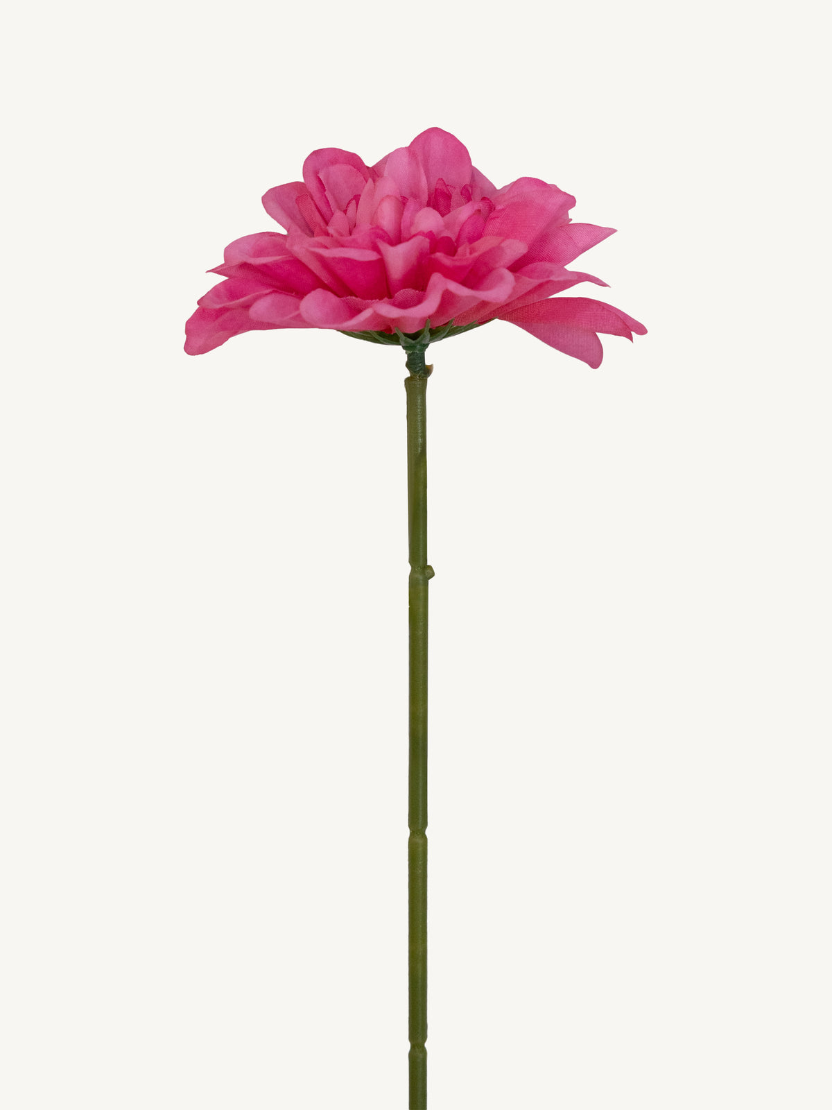 Flower DAHLIA 25cm fuchsia