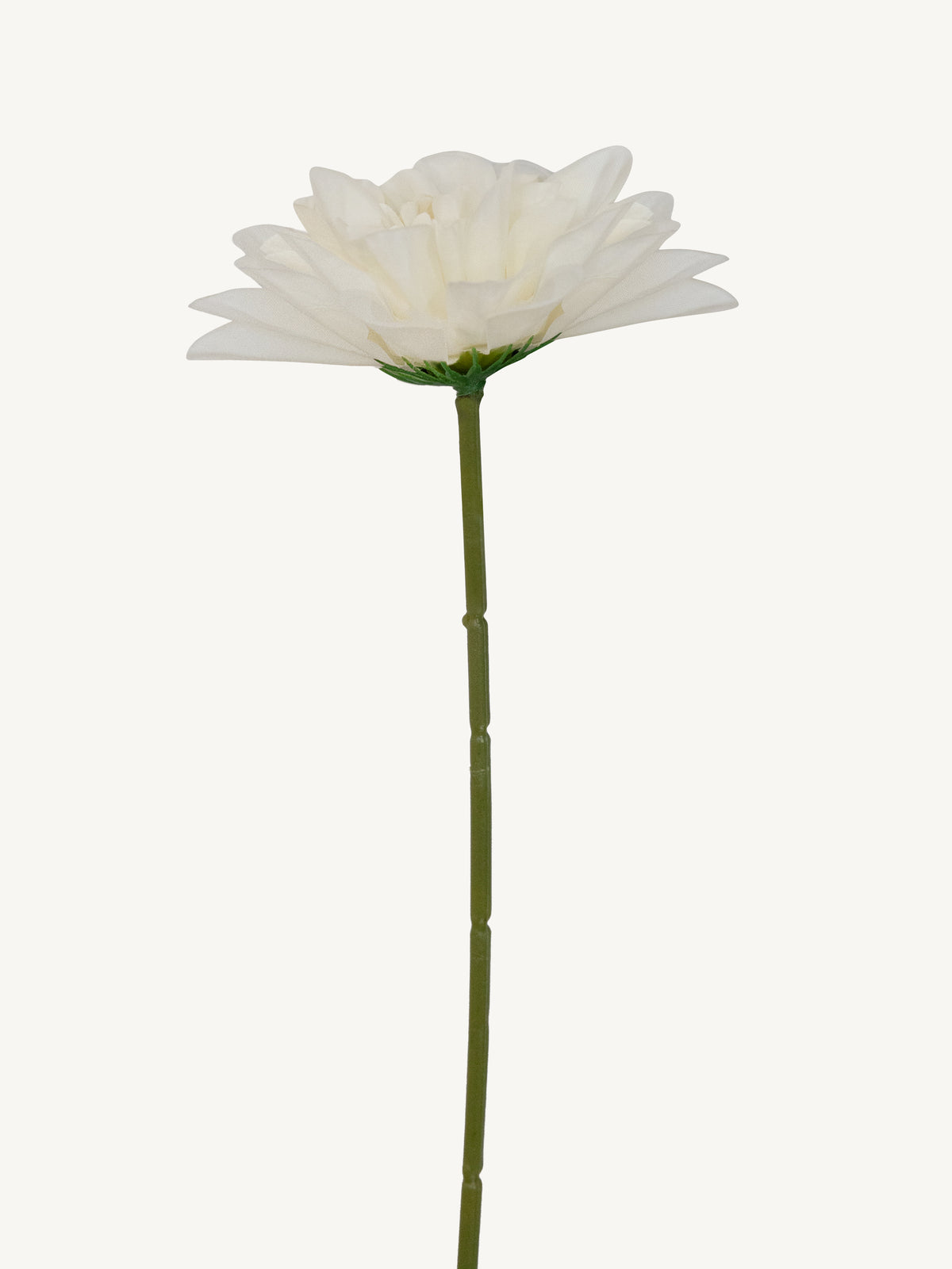 Flower DAHLIA 25cm white