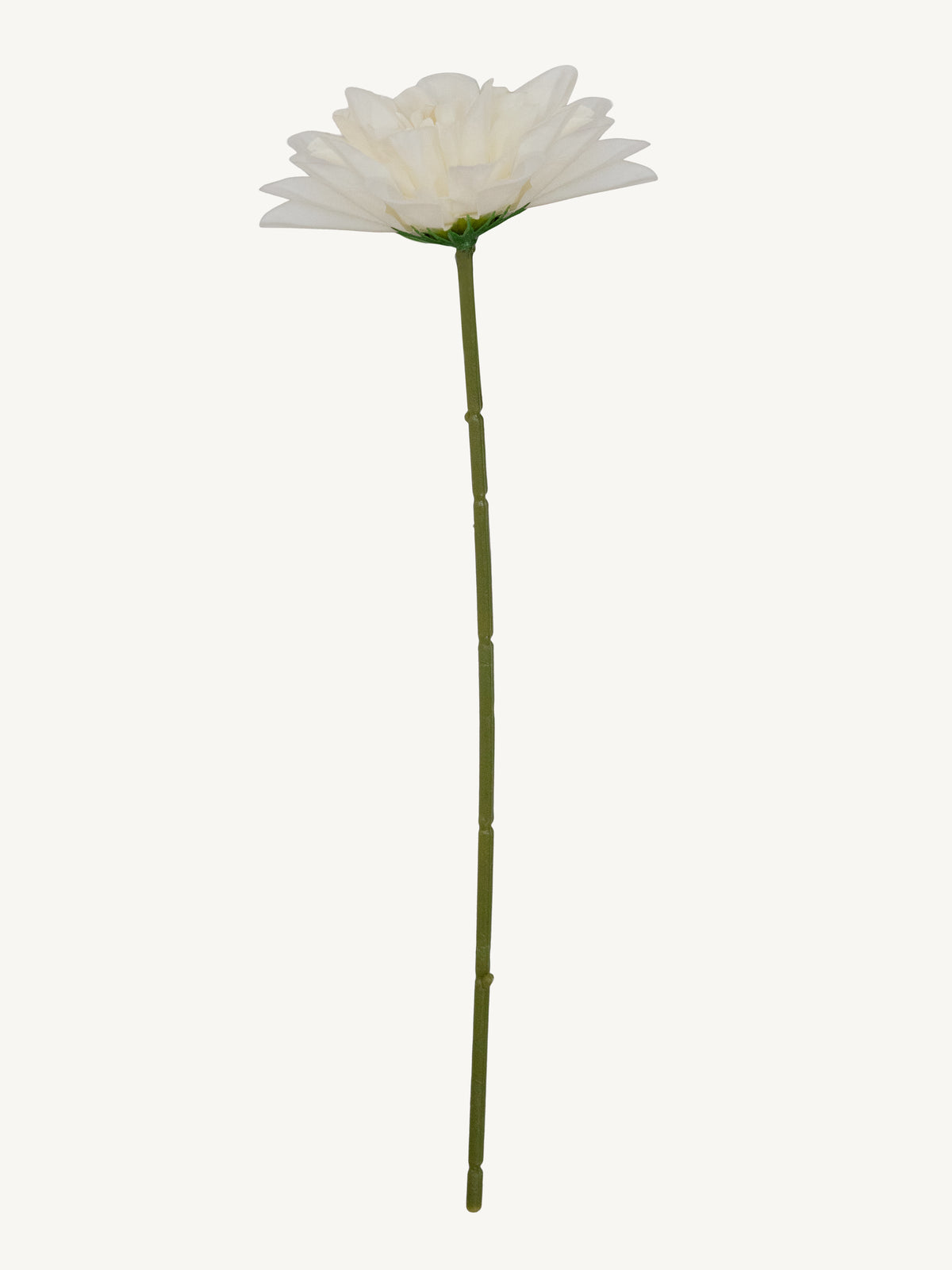 Flower DAHLIA 25cm white