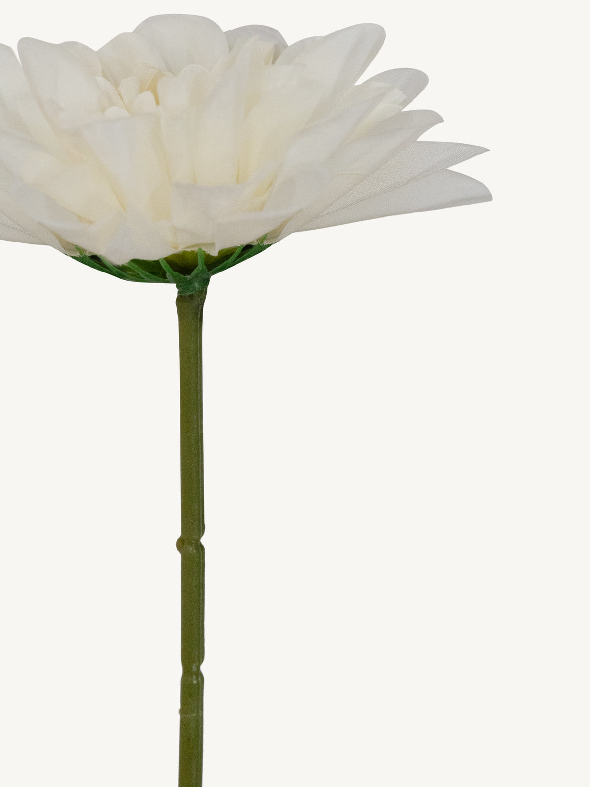 Flower DAHLIA 25cm white