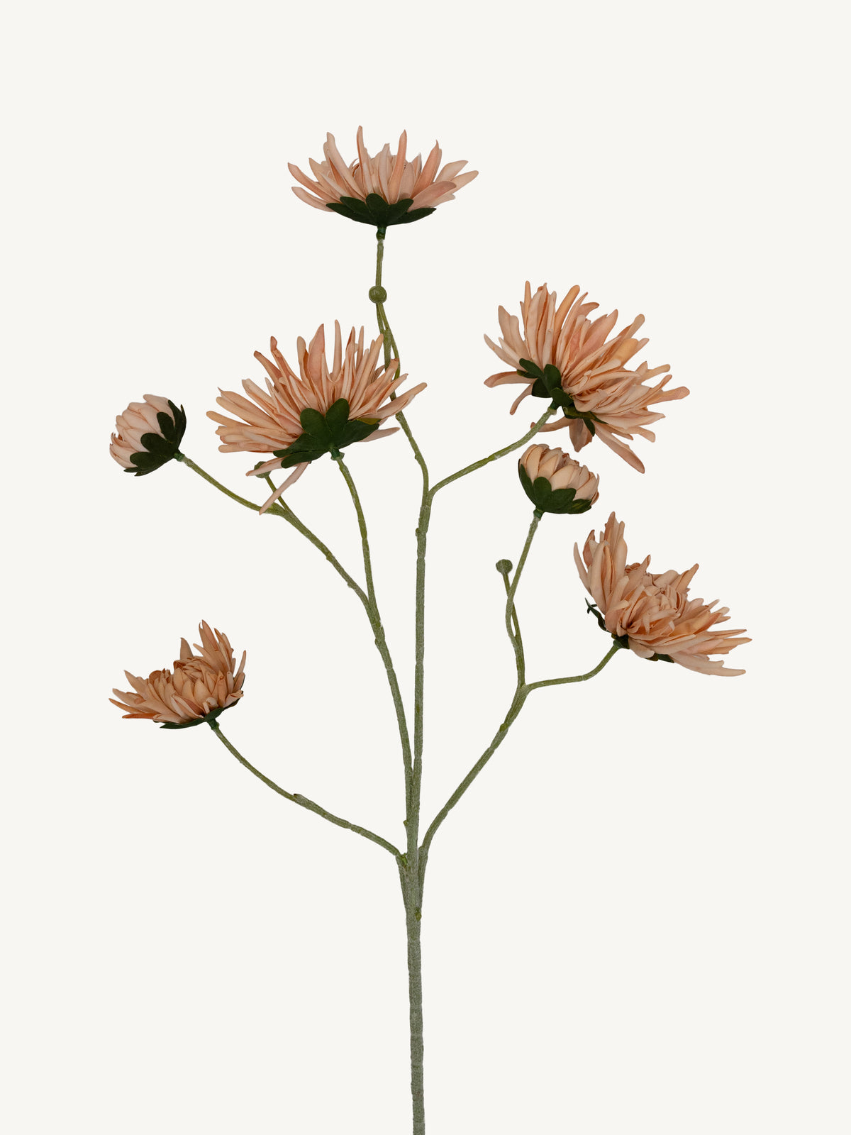 Flower CHRYSANTHEMUM 66cm pink
