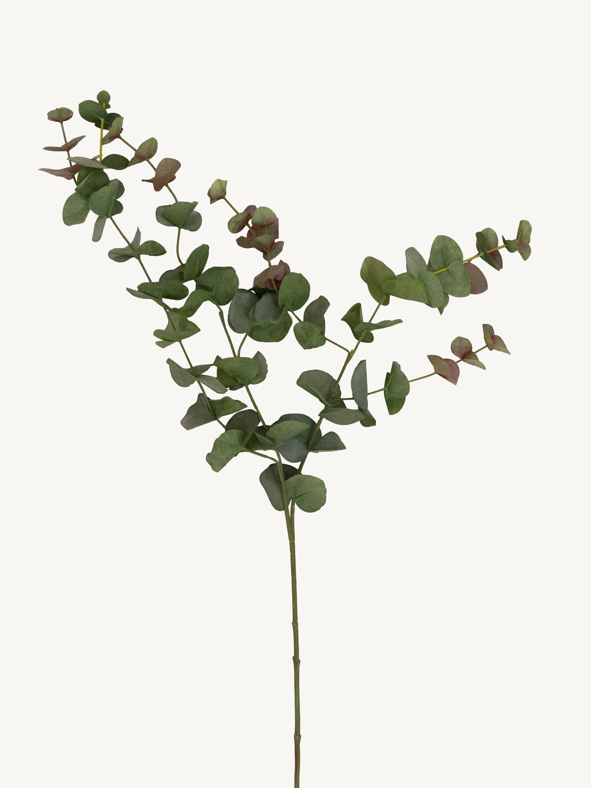 Branch EUCALYPTUS 95cm green