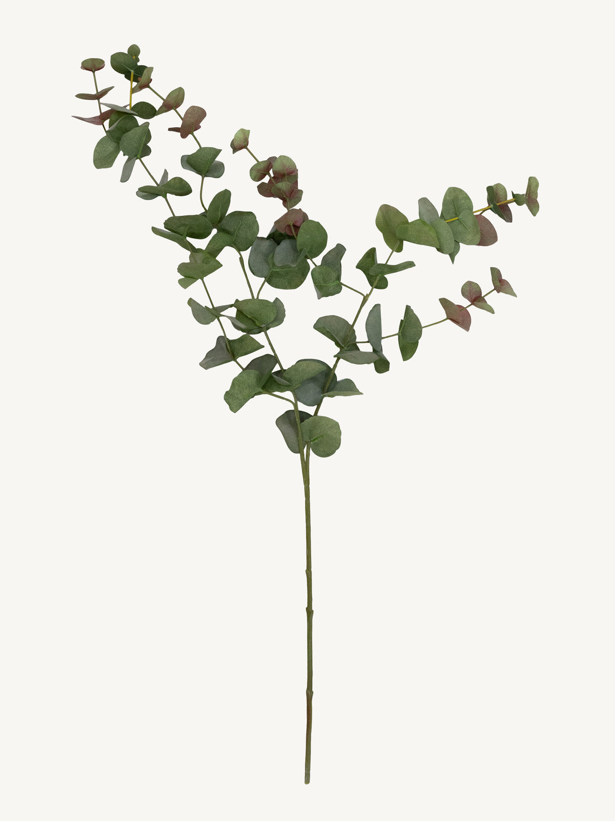 Branch EUCALYPTUS 95cm green