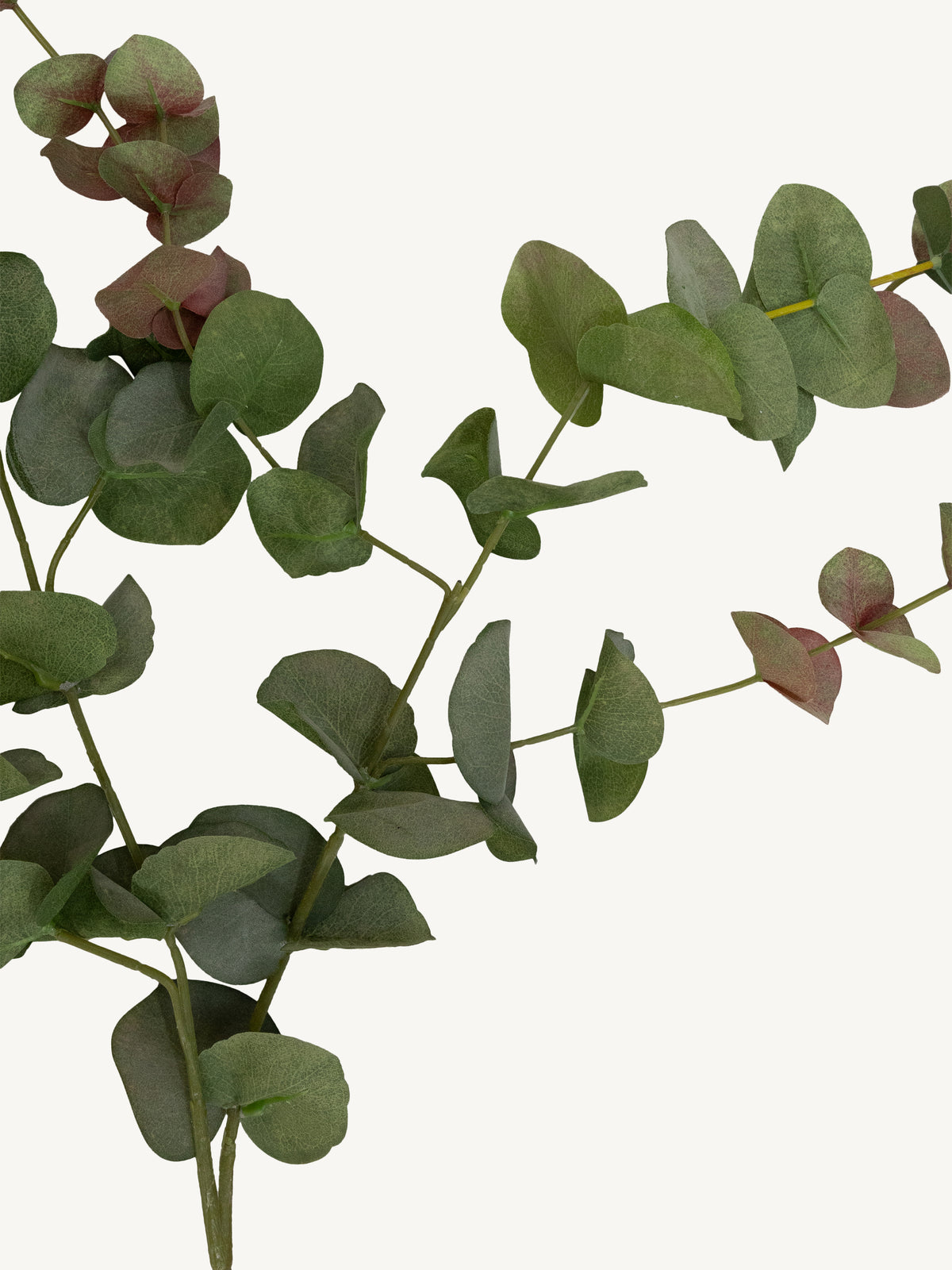 Branch EUCALYPTUS 95cm green