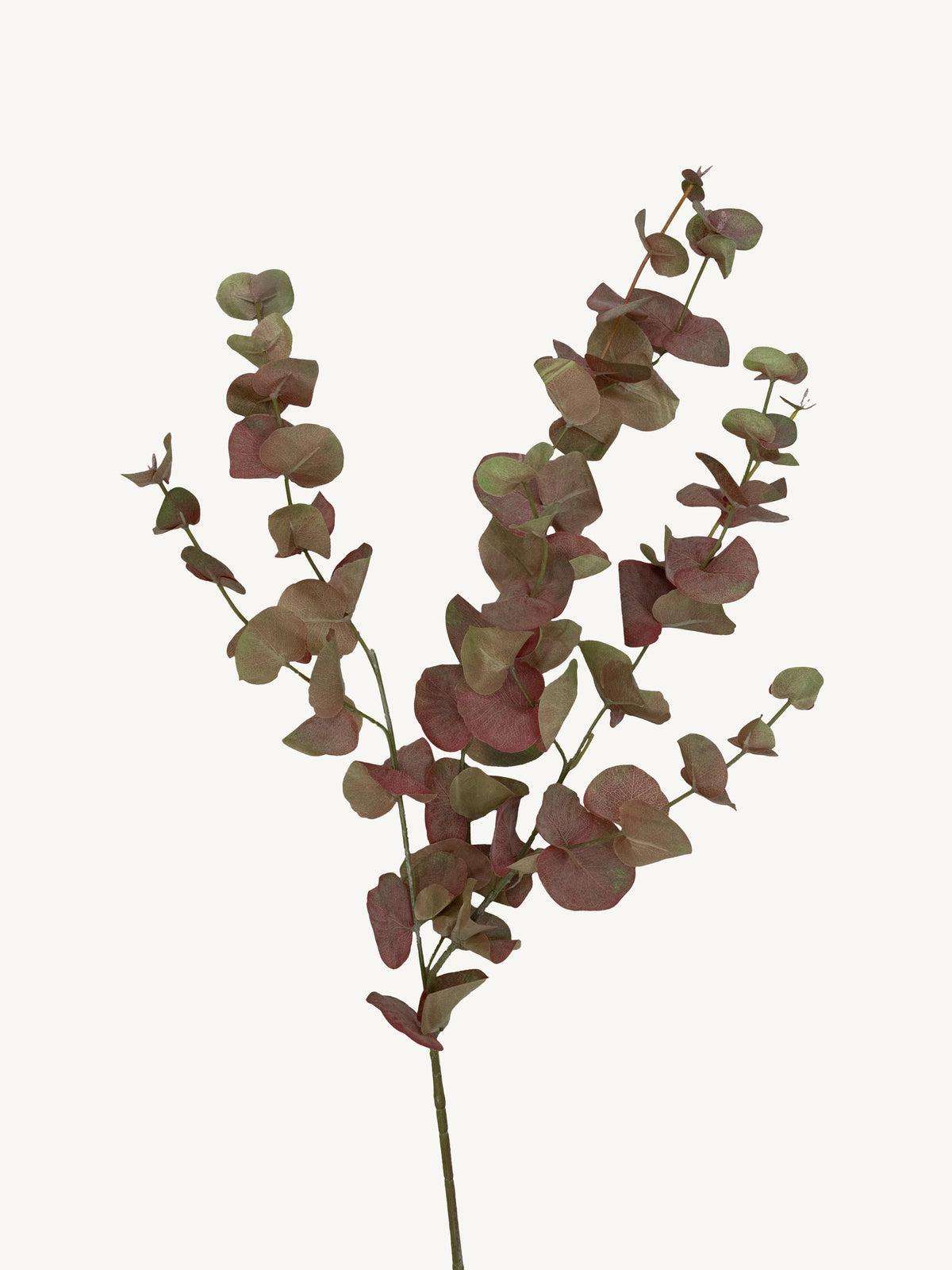 Branch EUCALYPTUS 95cm red