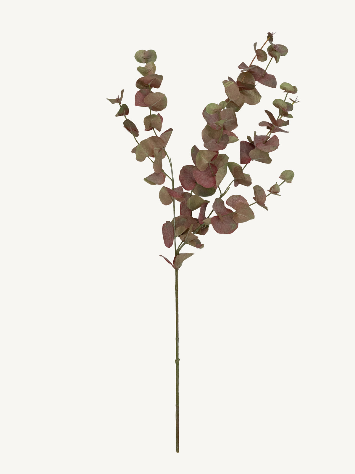 Branch EUCALYPTUS 95cm red