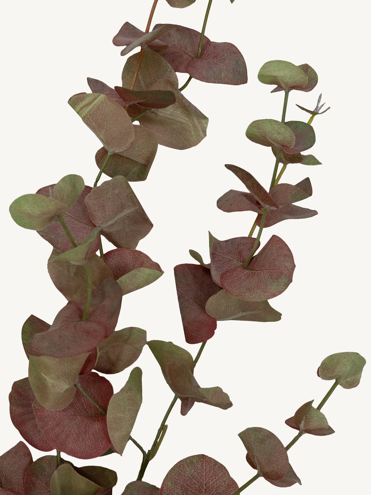 Branch EUCALYPTUS 95cm red