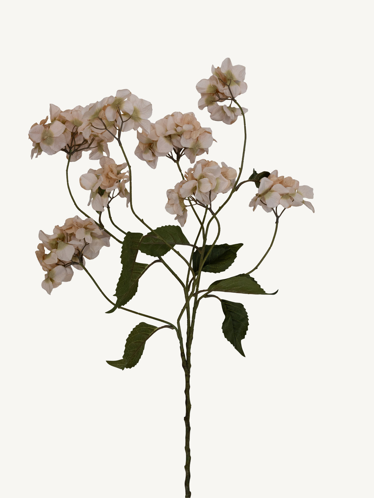 Flower HYDRANGEA 117cm cream