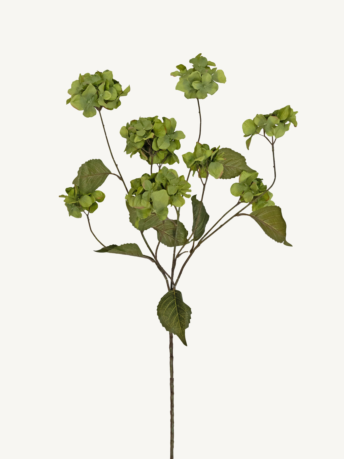 Flower HYDRANGEA 117cm green