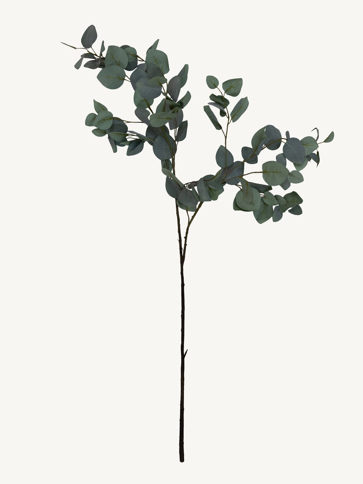Branch EUCALYPTUS 120cm green