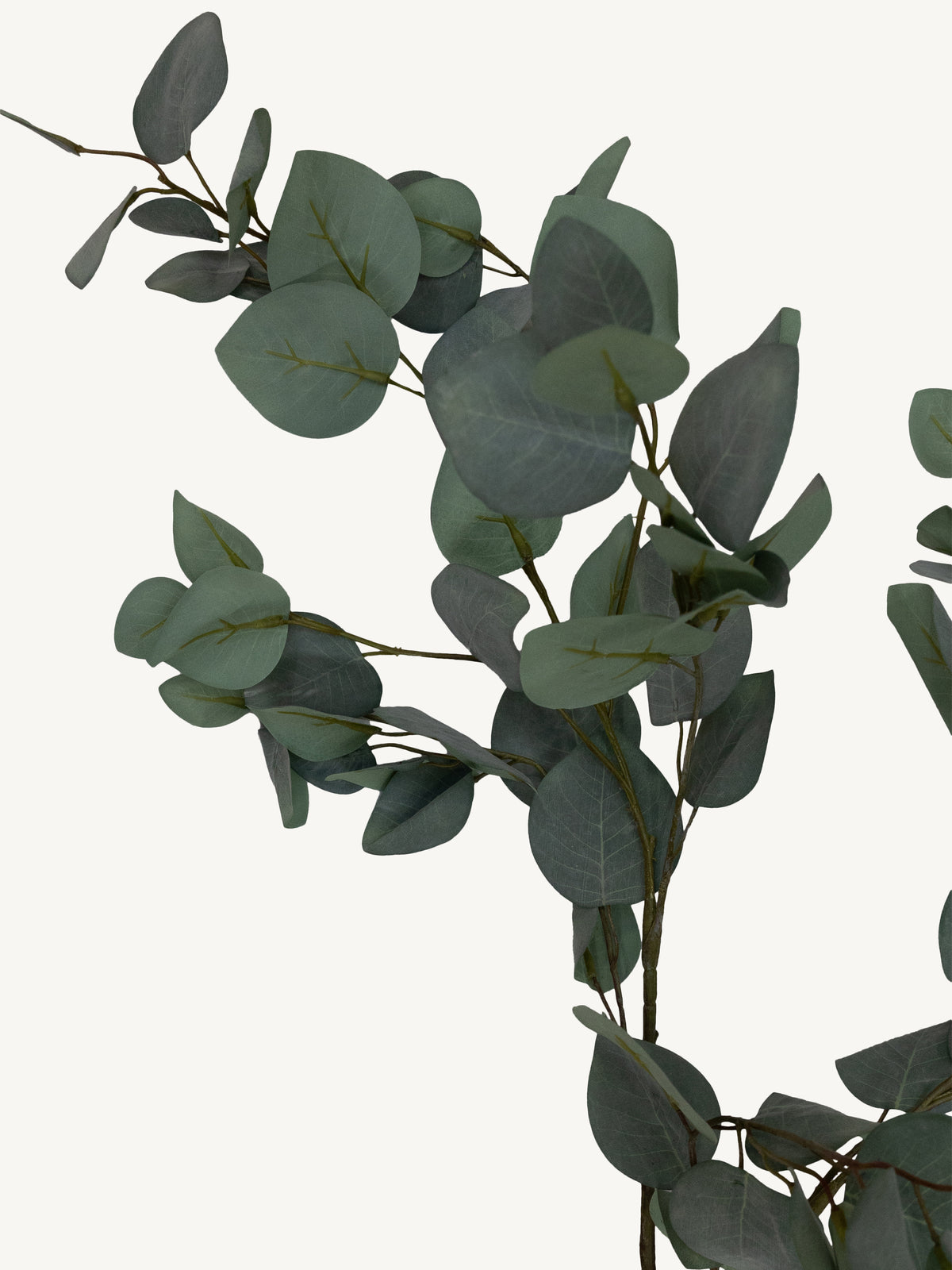 Branch EUCALYPTUS 120cm green