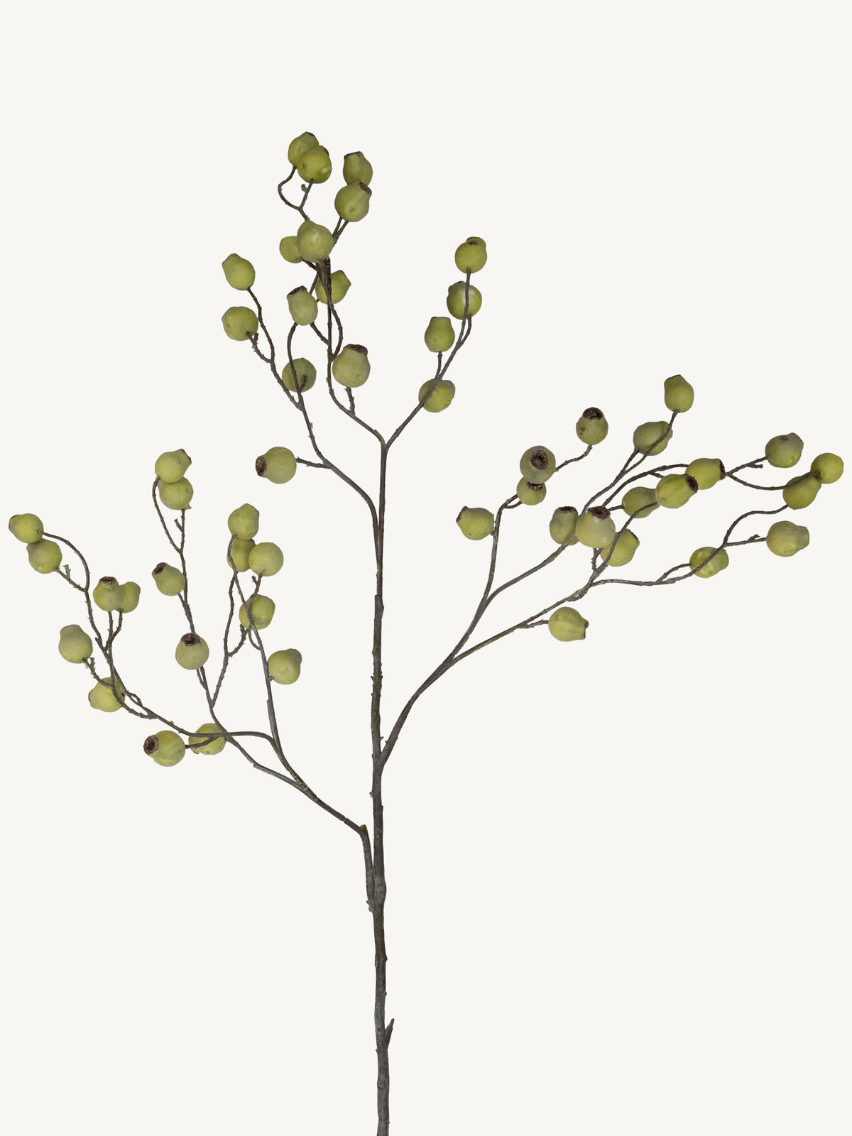 Flower EUCALYPTUS FRUIT 120cm green