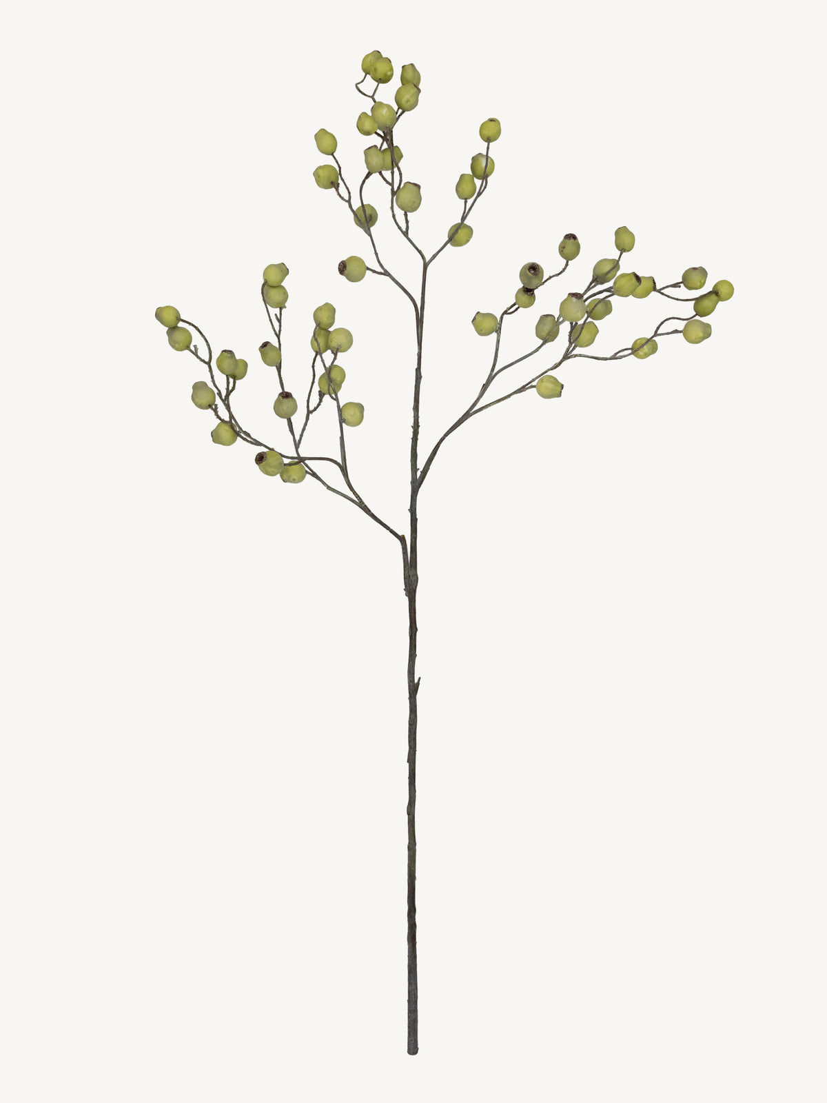 Flower EUCALYPTUS FRUIT 120cm green