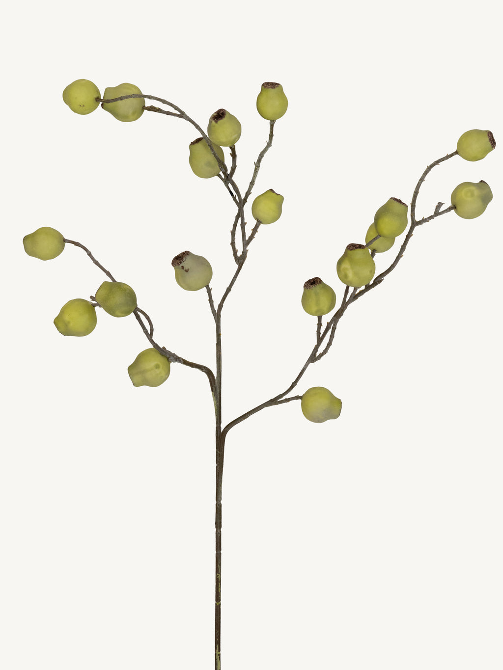 Flower EUCALYPTUS FRUIT 70cm green
