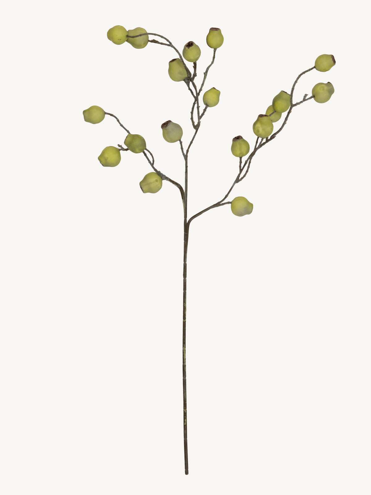Flower EUCALYPTUS FRUIT 70cm green