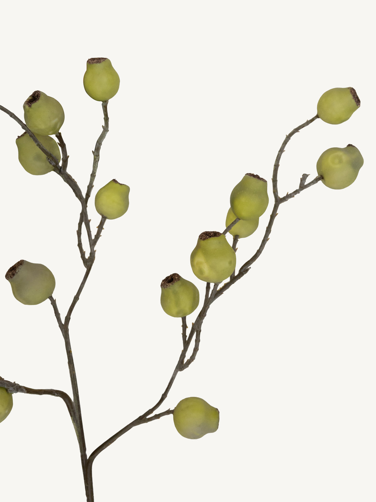 Flower EUCALYPTUS FRUIT 70cm green